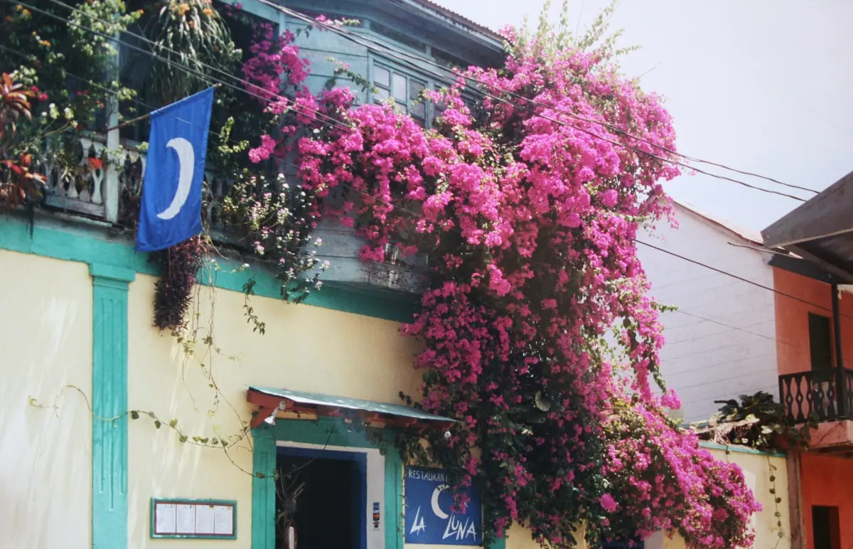 A colourful street corner in Flores