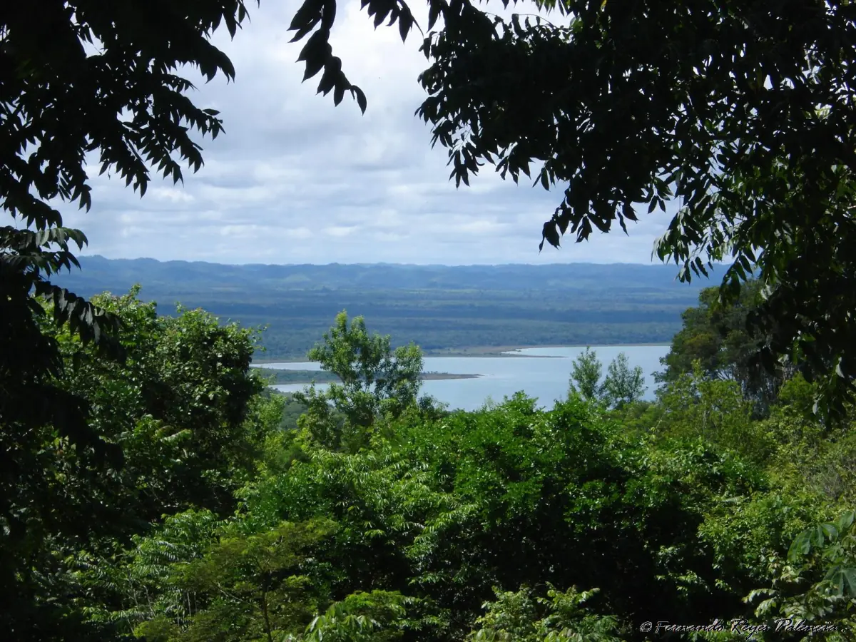 Lake Petén Itzá seen through the trees