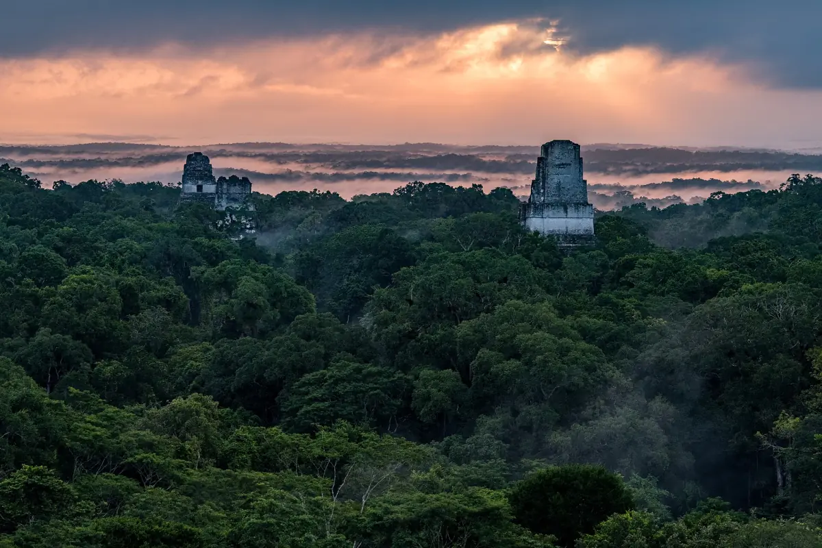 Temple tops rising above the jungle canopy