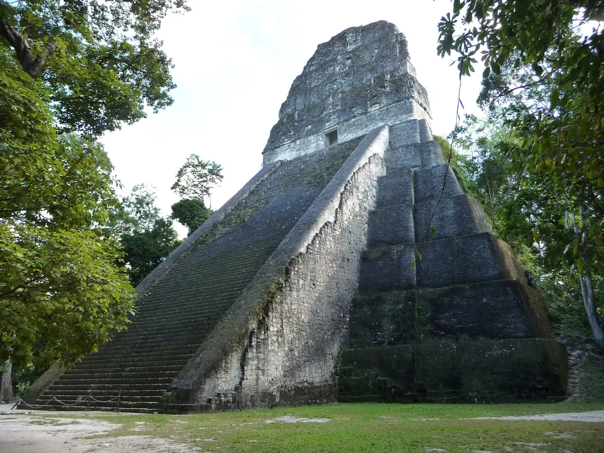 Temple V in the forest