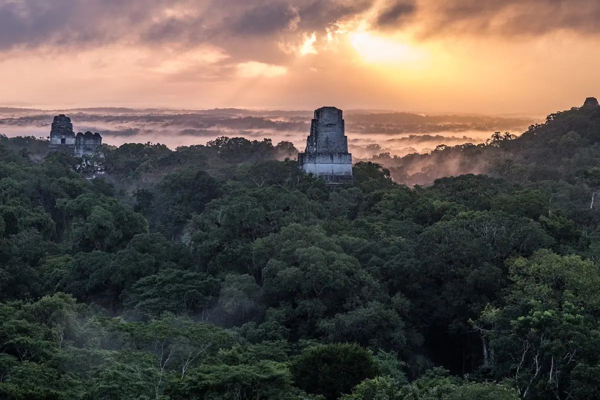 Temple tops above morning mist in the forest