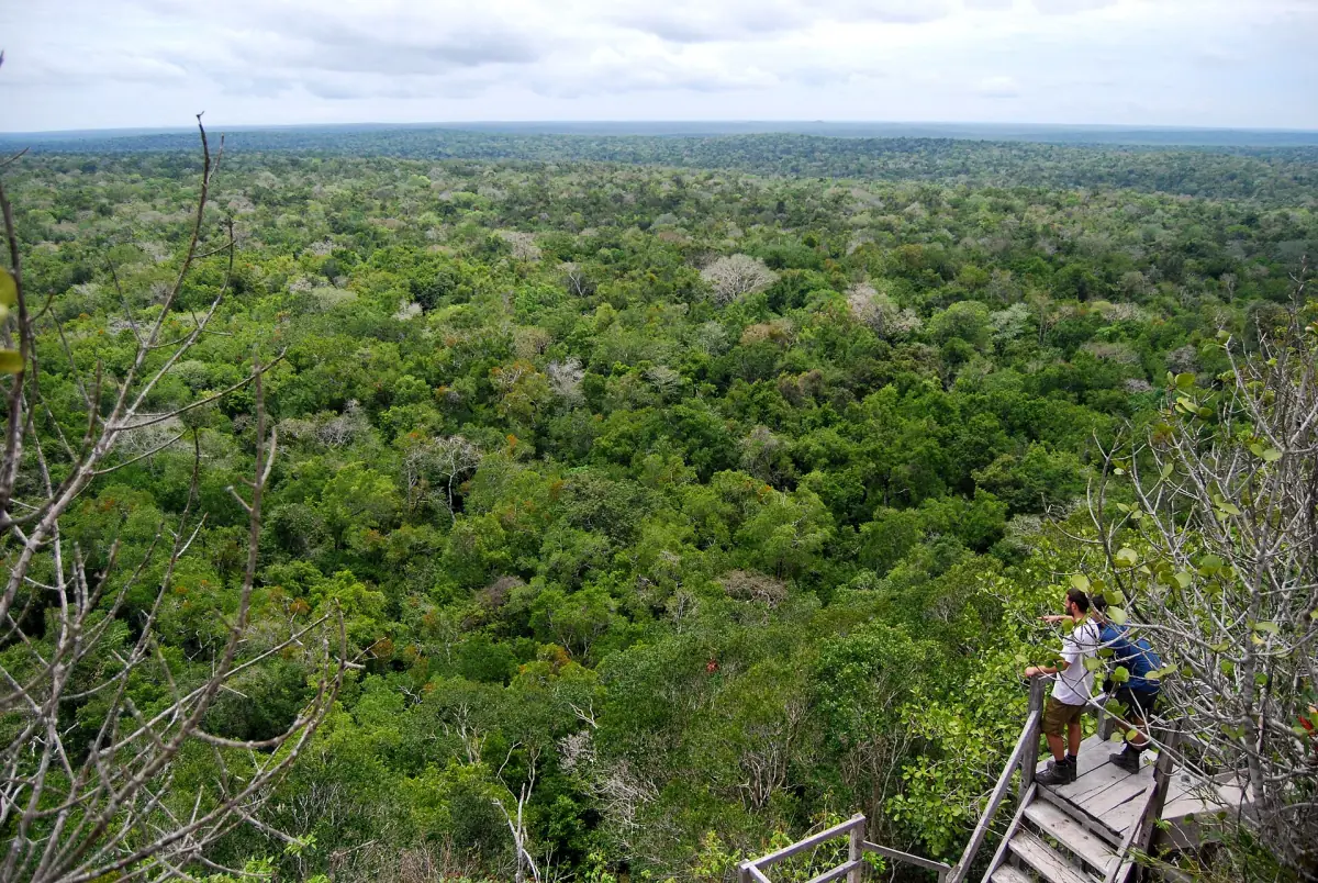 View over the forest from La Danta